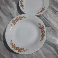 بشقاب|ظروف سرو و پذیرایی|اراک, |دیوار