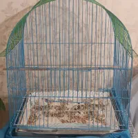 قفس پرنده
