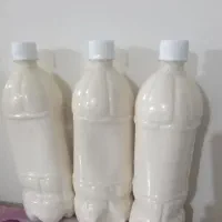 کشک گوسفندی خونگی جزیی و کلی