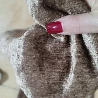 پرده