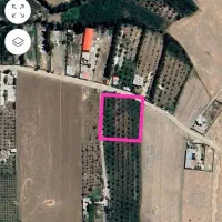فروش-2000-متر-زمین-با-درخت-ثمری-گلابی