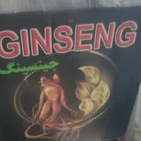 گیاه جینسینگ