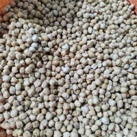 نخود بوجاری