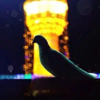 سفرِ تیرماه با قیمت باورنکردنی(هوایی،ریلی،اتوبوسی)