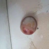 باباقوری