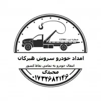 یدکش. خودروبر. جرثقیل. خودروبر