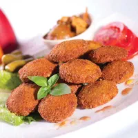 نیرو کار فلافلی