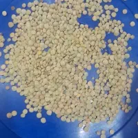 عدس محلی زود پز عالی