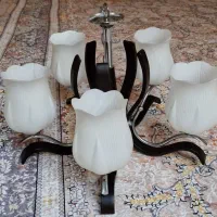 لوسترخارجی