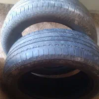 لاستیک تیگو