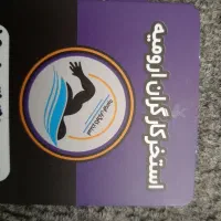 کارت استخر کارگران