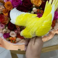 طوطی گمشده