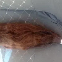 فروش موی سر