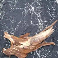 فلاور معاوضه با عروس هلندی
