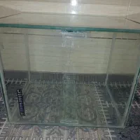 اکواریم