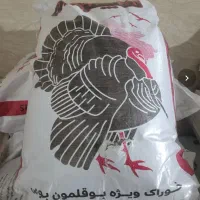 خوراک پلیت بوقلمون تخمگذار سپهردانه
