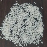 فروش برنج طارم هاشمی پارساله