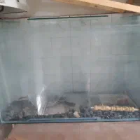 اکواریوم