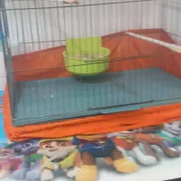 قفس
