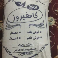 برنج کامفیروزی