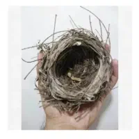 قناری باغی