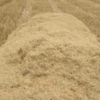 کاه فروشی