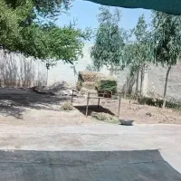 اجاره-خانه-ویلایی-بزرگ