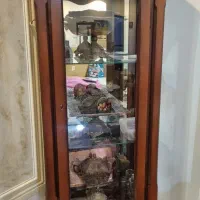 ویترین