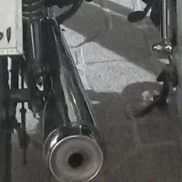 اگزوز شیرازی ۵ ستاره