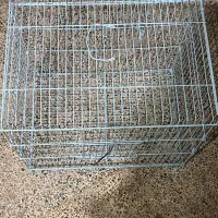 قفس|لوازم جانبی حیوانات|قشم, |دیوار