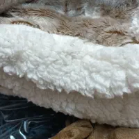 روتختی دونفره