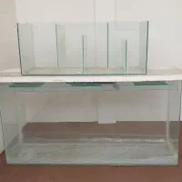 آکواریوم شرکتی