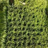 لوازم اکواریوم  سبزی مصنوعی