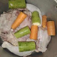غذای سگ و گربه