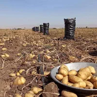 نیروی کار با اکیپ ۵نفره هستیم