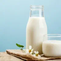 شیر گاو فقط تماس
