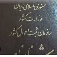 گم شدن شناسنامه.