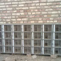 جفتگیری کبوتر