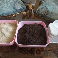 خاک بستر حلزون مکمل  کلسیوم و حلزون