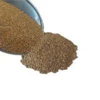 دانه برای قناری و پرنده