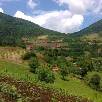 فروش-زمین-ویلایی
