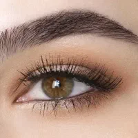 خدمات اصلاح و پاکسازی، شینیون بافت