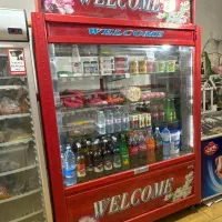 یخچال صنعتی دانفوس المان