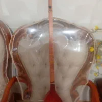 سه تار زیبا با تخفیف