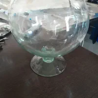 تنگ ماهی
