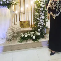 لباس مجلسی پشت کار پاپیون میخوره