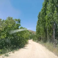 باغ ویلایی