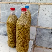 غوره|خوردنی و آشامیدنی|زنجان, |دیوار