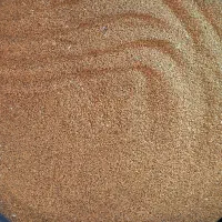 بذر یونجه