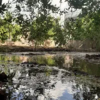 فروش زمین مسکونی ۴۰۰ متری روستای کچومثقال